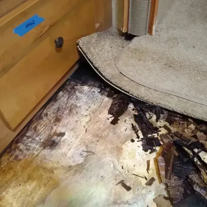 Best Wood Floor Water Damage Service in Tangipahoa Parish, LA